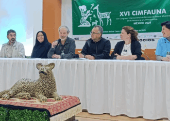 México es Anfitrión del Congreso Internacional de Fauna Silvestre