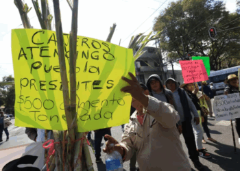 «Cañeros negocian hoy con Sader para rescatar sector azucarero»