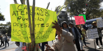 «Cañeros negocian hoy con Sader para rescatar sector azucarero»