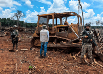 «Frenan devastación en Bacalar por expansión agrícola menonita»