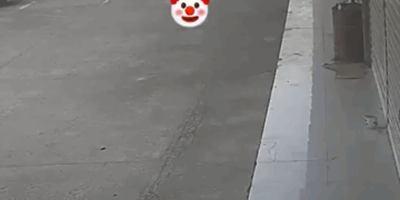 Karma Instantáneo: Hombre Resbala y Cae al Intentar Patear a un Perro en China