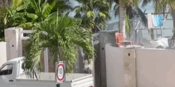 «Continúa proyecto militar en Bacalar entre amparos y controversia ambiental»