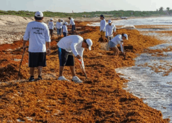 «Documental sobre sargazo mostrará una nueva visión de la crisis en Quintana Roo»