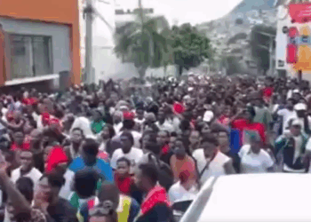 Celebran la Histórica Clasificación al Mundial de Fútbol