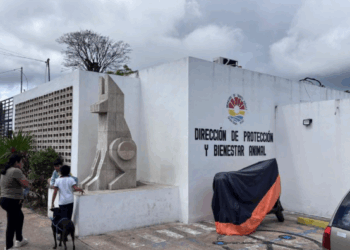 Cierre de la Dirección de Bienestar Animal se Extiende por Tres Semanas