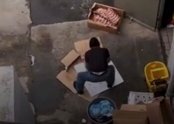 VClausuran Restaurante Pho Love por Carne en el Piso e Infestación de Plagas