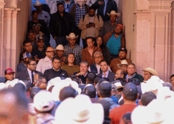 Crisis en el campo de Zacatecas por el precio y acopio de frijol