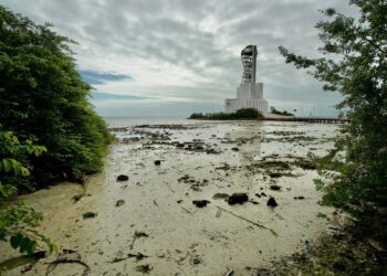 El Descenso del Agua Revela Sorprendentes Fenómenos Naturales en la Bahía de Chetumal