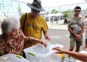 El PDG definirá su apoyo presidencial mediante una peculiar consulta digital