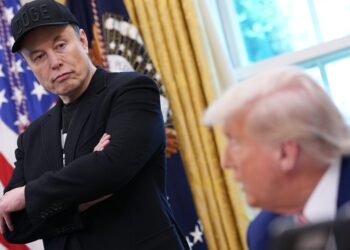 Elon Musk y Trump rompen el hielo tras meses de distanciamiento
