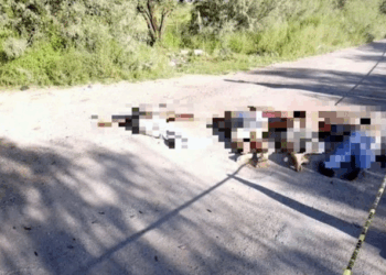 Escalada de Violencia en Colima: Un Asesinato y Cuatro Cuerpos con Signos de Tortura