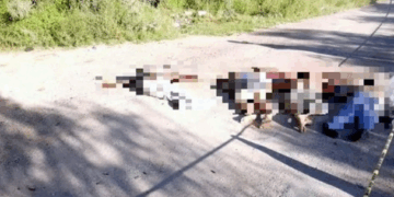 Escalada de Violencia en Colima: Un Asesinato y Cuatro Cuerpos con Signos de Tortura