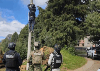 Golpe al espionaje criminal: Retiran cámaras de seguridad ilegales en Morelos