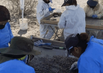 Grupo Vida Encuentra Nueva Fosa Clandestina con Restos Calcinados en Patrocinio