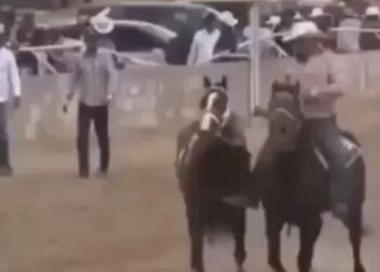 Violencia en Parral: ataque armado deja seis muertos en carreras de caballos
