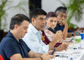 «Playa del Carmen intensifica vigilancia ante expansión de red clandestina en postes públicos»