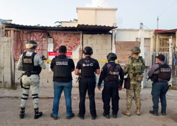 «Aseguran drogas y armas en siete operativos en Othón P. Blanco»