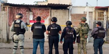 «Aseguran drogas y armas en siete operativos en Othón P. Blanco»