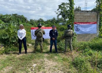«Aseguran predio por delitos ambientales en Benito Juárez»