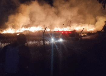 Incendio de Pastizales Amenaza la Zona Arqueológica de Teotihuacan