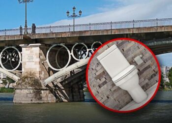 Insólito Suceso en Sevilla Un Baño Portátil Cae Sobre la Autopista