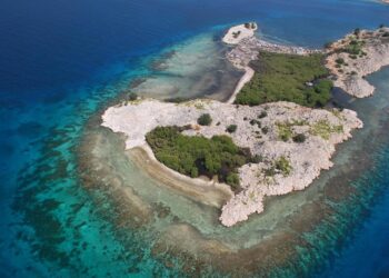 Isla de Gonave: El plan de terror y esclavitud frustrado a dos estadounidenses