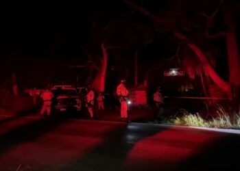 Localizan cementerio clandestino en Puerto Morelos: FGE Quintana Roo investiga hallazgo de restos óseos