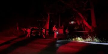 Localizan cementerio clandestino en Puerto Morelos: FGE Quintana Roo investiga hallazgo de restos óseos