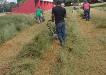 Mantenimiento del estadio “Terencio Tah” por el aniversario de la Revolución Mexicana