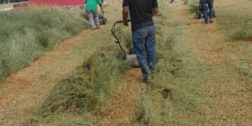 Mantenimiento del estadio “Terencio Tah” por el aniversario de la Revolución Mexicana