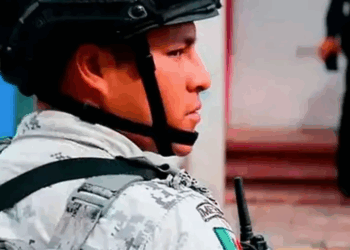 Operación Frontera Norte Asegura $408 MDP en Precursores Químicos