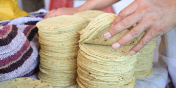 ¡Atención Tamaulipas! Precio de la Tortilla Subirá por Falta de Acuerdos