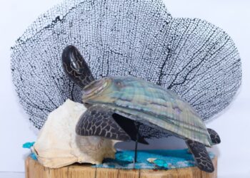 Presentan en Chetumal la pieza artesanal Akil Tortuga Fuerte símbolo del talento local