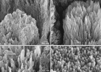 Revolución en Odontología, crean Gel que Regenera el Esmalte Dental