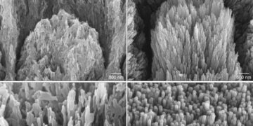 Revolución en Odontología, crean Gel que Regenera el Esmalte Dental