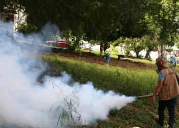 Luto en el Sur de Tamaulipas por Seis Fallecidos a Causa del Dengue