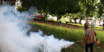 Luto en el Sur de Tamaulipas por Seis Fallecidos a Causa del Dengue