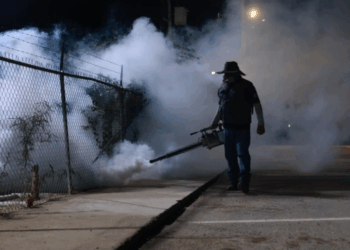 Sonora Lanza Mega Campaña de Fumigación para Contener el Dengue