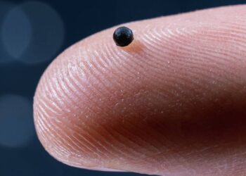 Suiza crea la primera médula ósea humana artificial en miniatura