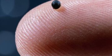 Suiza crea la primera médula ósea humana artificial en miniatura