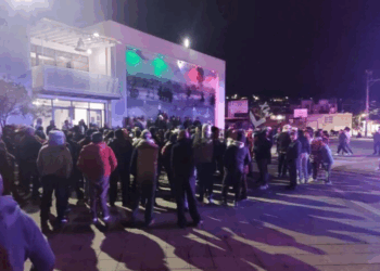 Texcoco: Vecinos Forman Frente Unido Contra la Tala Ilegal