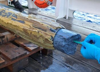 Descubren vida en un lugar inhóspito donde se creía imposible