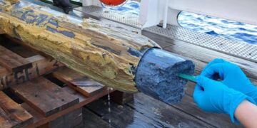 Descubren vida en un lugar inhóspito donde se creía imposible