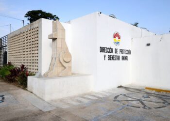 Bienestar Animal Impulsa Reestructuración en la Dirección