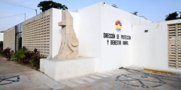 Bienestar Animal Impulsa Reestructuración en la Dirección