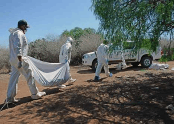 Zacatecas señala nula ayuda de Fiscalía de SLP tras hallazgo de cuerpos