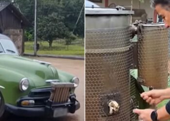El increíble auto brasileño que lleva casi 50 años funcionando con leña