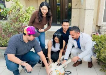 Perrito abandonado en Torreón encuentra nuevo hogar gracias a adopción responsable