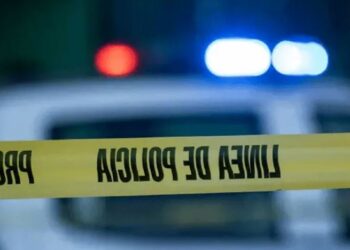 Hallan siete cuerpos en Zacatecas y detienen a policías de la Guardia Civil Estatal de SLP