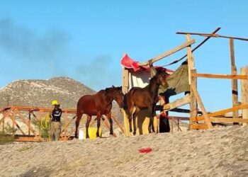 Más de mil detenciones y casi 2 mil vehículos asegurados en Tamaulipas en 11 meses